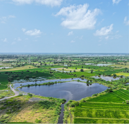 Sustainability gallery