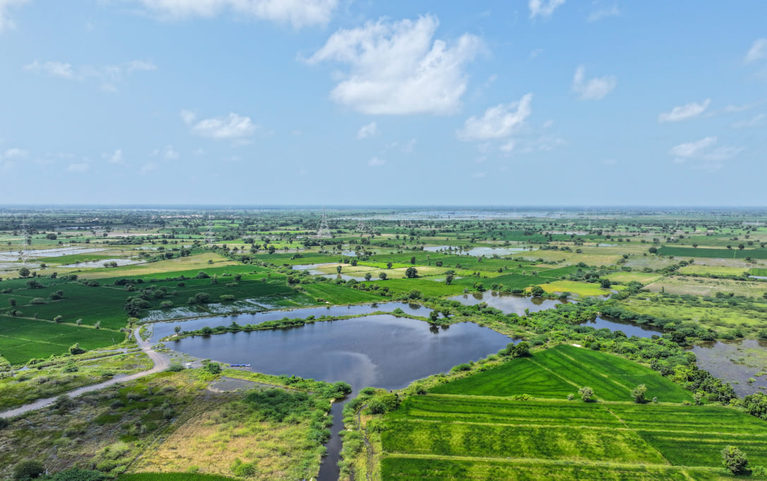 “JIVA”: The Life of REL’s Ogan Plant