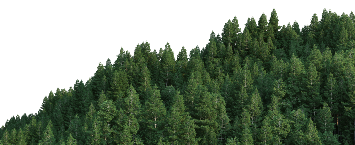 environmental design